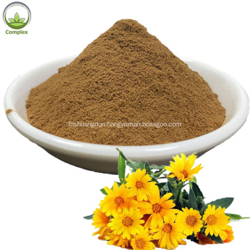 100% natural herbal chrysanthemum plant extract